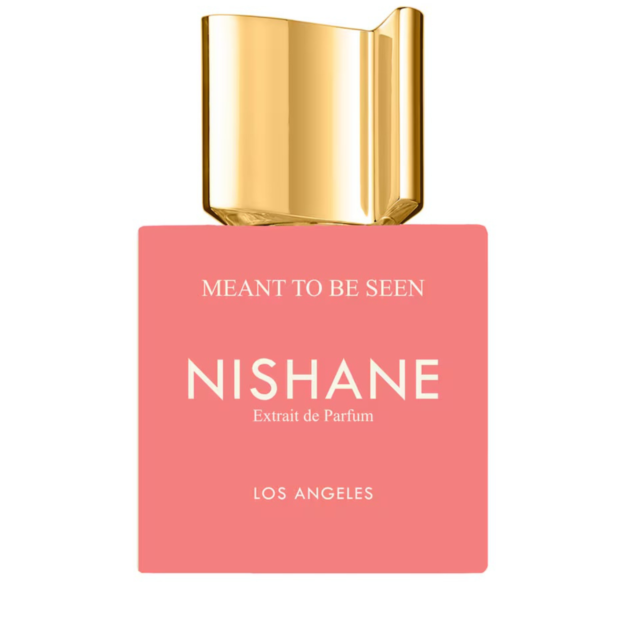 Nishane - Meant To Be Seen Extrait Sample
