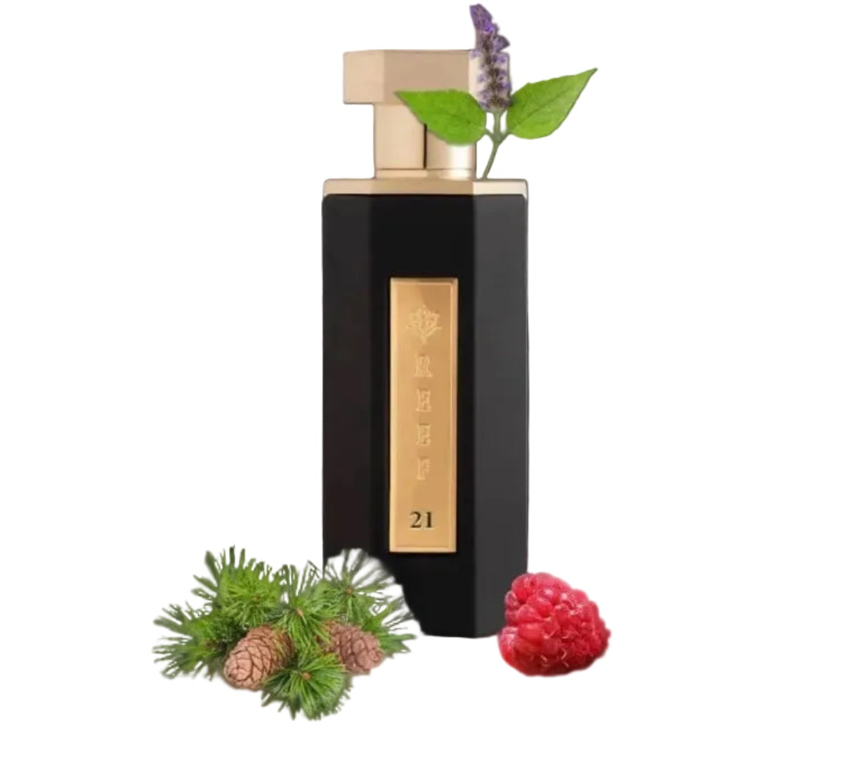 reef 21 100ml eau de parfum black bottle with gold accents with berries 